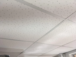 Потолок Армстронг: главные комплектующие, виды плит, преимущества решения